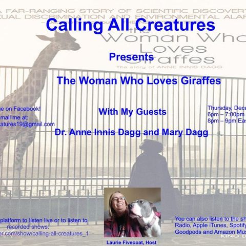 Calling All Creatures Presents The Woman Who Loves Giraffes