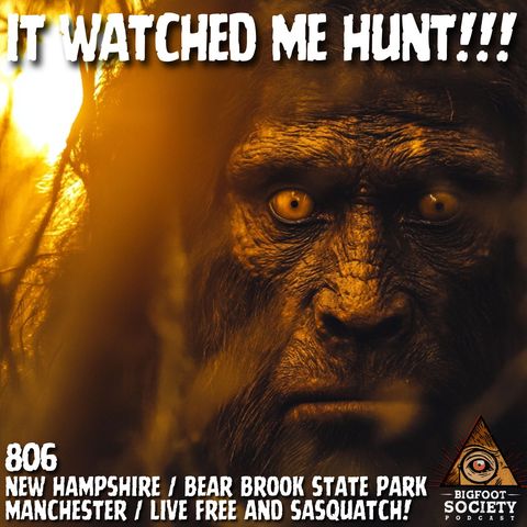 It Charged Me From 30 Feet — The New Hampshire Sasquatch Encounter