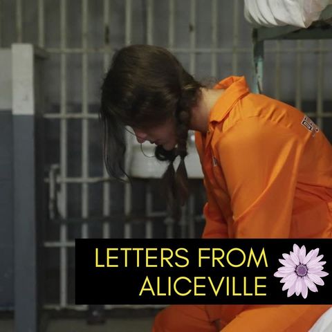 Welcome to Letters from Aliceville