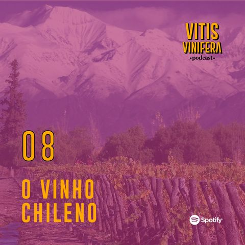 #8 O Vinho Chileno