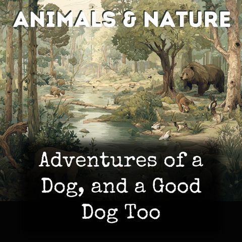 Copertina del podcast