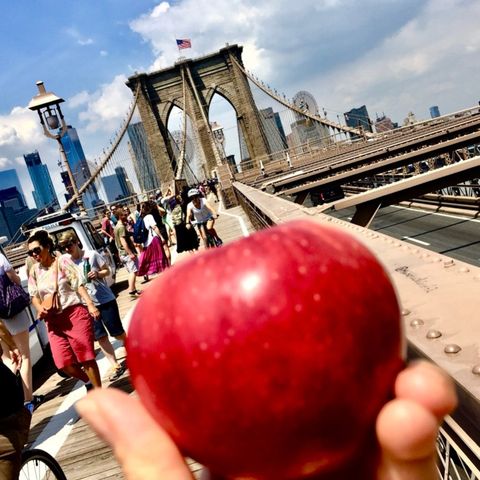 memo/new york