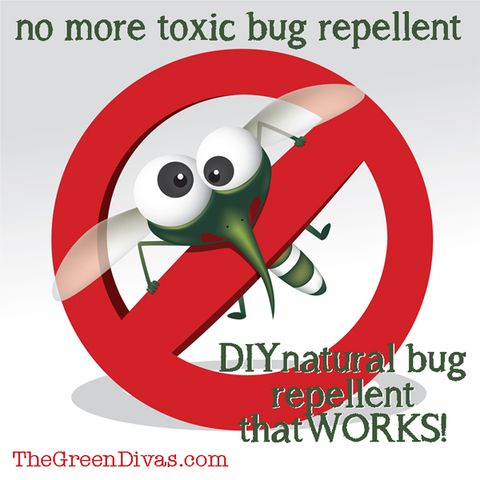 Green Divas DIY: Non-Toxic Bug Repellent