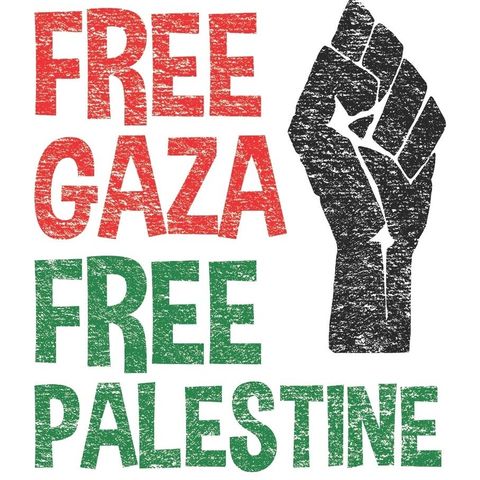 La Zona 12 - Free Palestine