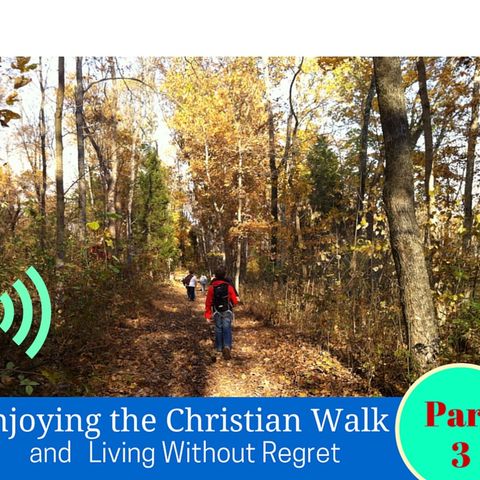 Finding Fulfillment in Serving God (Part 3 Enjoying The Christian Walk and Living Without Regret) - Episode 008