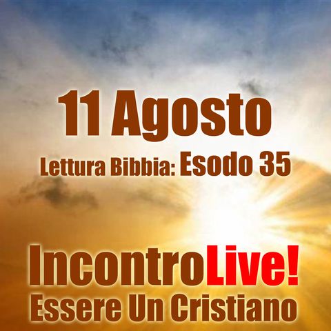 11 Agosto 2024 - Esodo 36