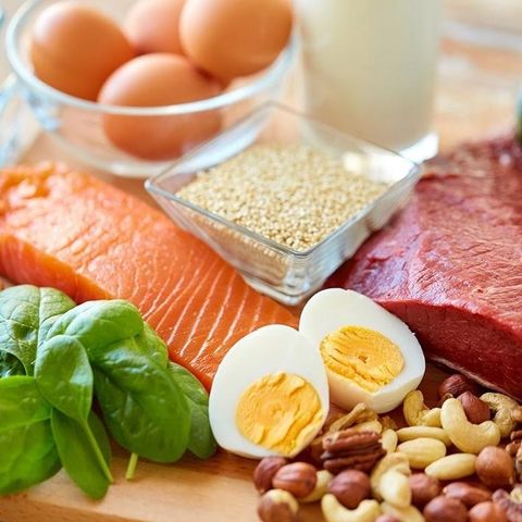 Ep 94 | La ruta de la proteína. El alimento que posibilitó la conquista del mundo