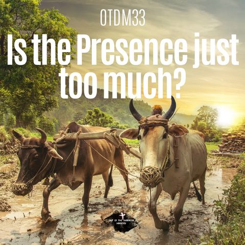 OTDM33 Is the presence just too much?