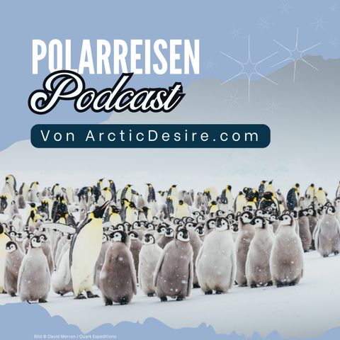 Pinguin-Paradies: Reise zu den Kaiserpinguinen auf Snow Hill Island