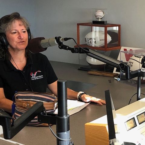 College Station Senior HR Consultant Diana Clendenin on The Infomaniacs