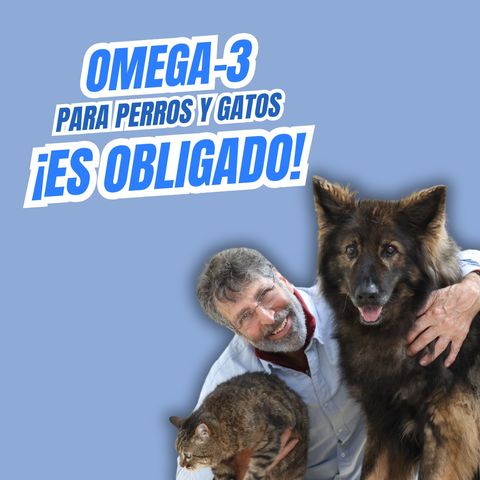 Copertina del podcast
