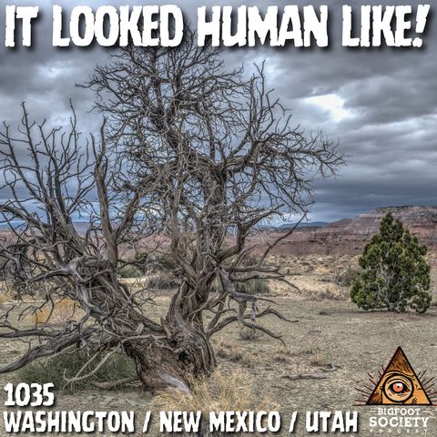 Three Bigfoot Cross a Road in Washington — Then It Gets Darker