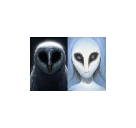 The Messengers:  Owls & UFOs with Guest/Expert Mike Clelland