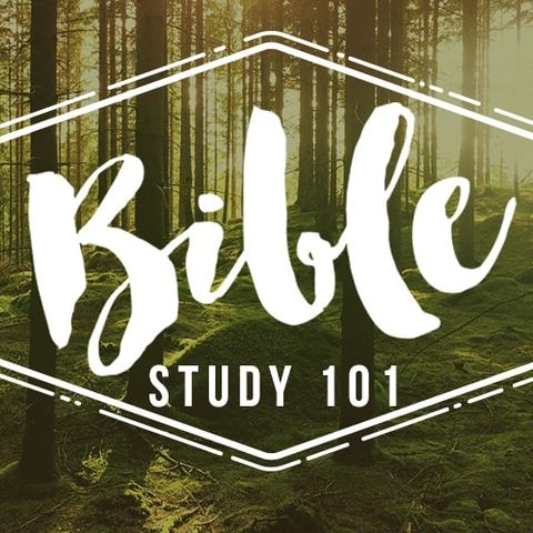 Bible Study 101: Literary Context Pt2