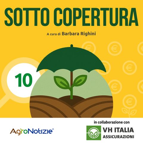 Ci pensa lo Stato