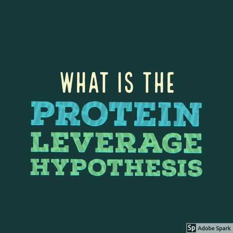 170 - What Is The Protein Leverage Hypothesis
