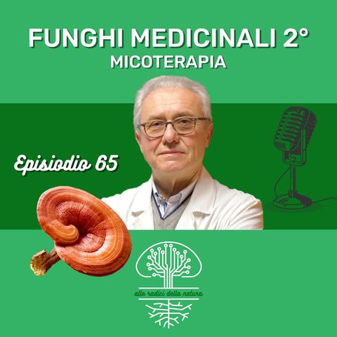 Funghi Medicinali Parte II