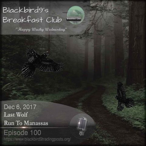 Last Wolf Run To Manassas - Blackbird9