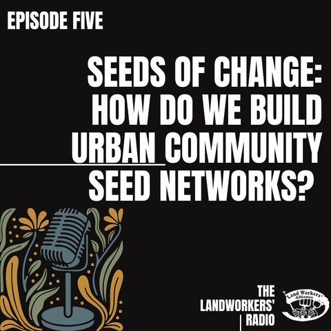 Seeds of change: how do we build urban community seed networks?