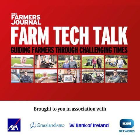 Ep 554: Farm Tech Talk 111 – Weanlings go to Israel, fixed milk price options and lameness in early born lambs