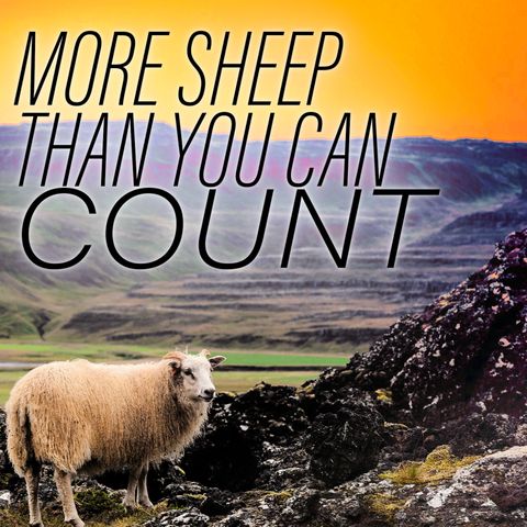 56: More Sheep than You Can Count (Transfinite Cardinal Numbers)