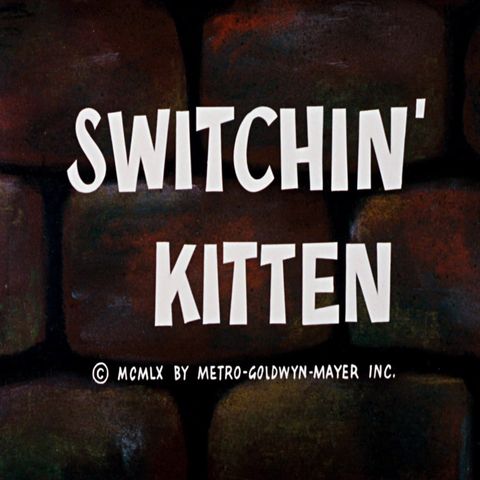 115. Switchin' Kitten