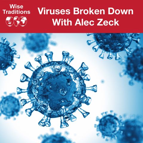 412: Viruses Broken Down