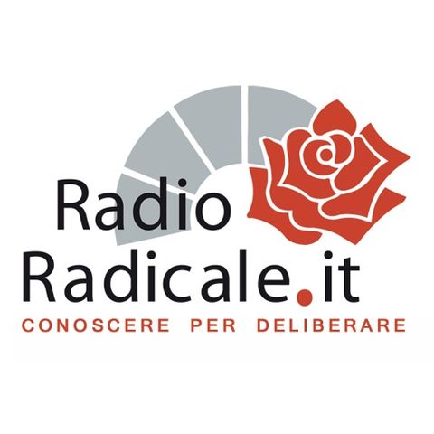 Salviamo Radio Radicale: intervista al direttore Alessio Oreste Falconio