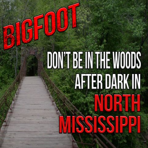 Don't Be in the Woods After Dark in N. Mississippi