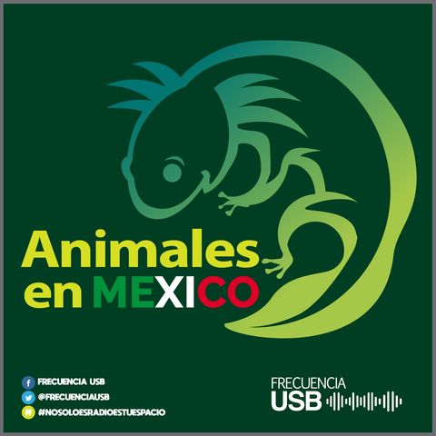 Animales en México- Dinosaurios