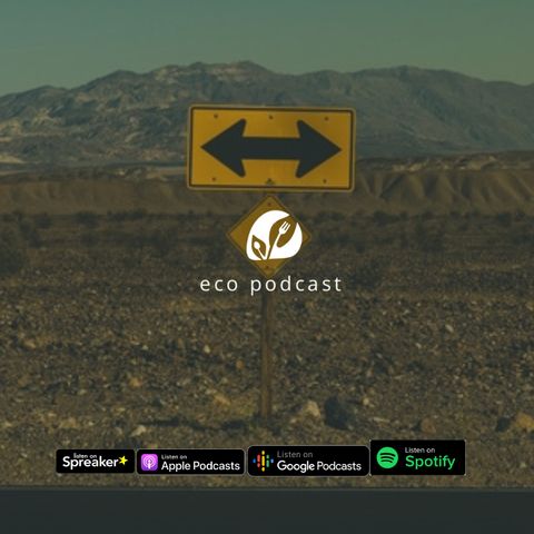 Ep. 06 | Ecopodcast - Come scegliere i prodotti?