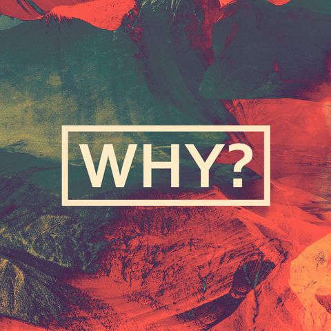 Why: Why Obey?