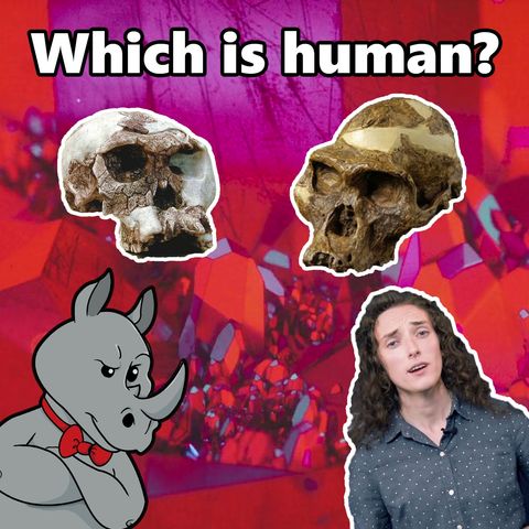 Is it human? Ape? Both? Neither?