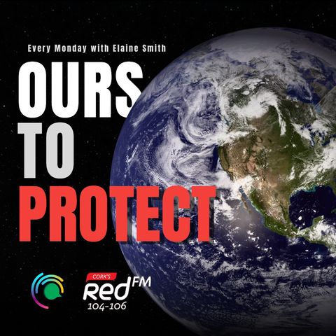 Ours to Protect - Relove Paint