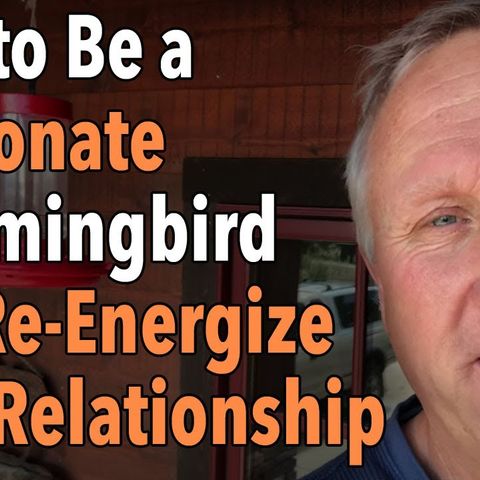 How to Be a Passionate Hummingbird and Re-Energize Your Relationship