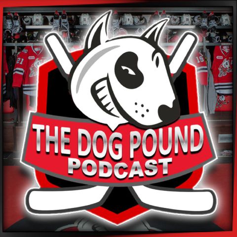 Interview w/ IceDogs Play-By-Play Announcer Steve Clark - The Dog Pound Podcast