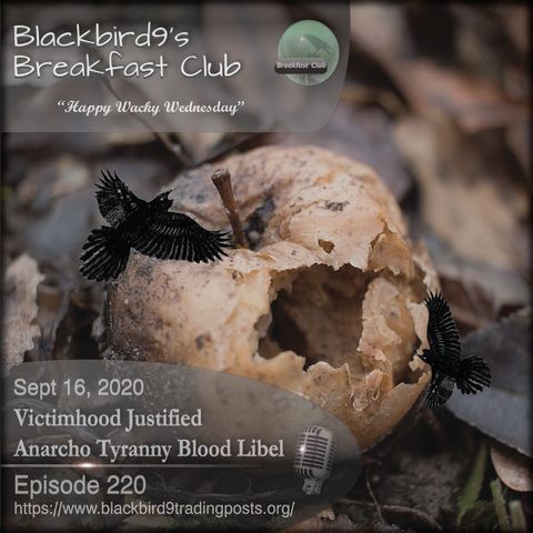 Victimhood Justifed Anarcho Tyranny Blood Libel - Blackbird9 Podcast