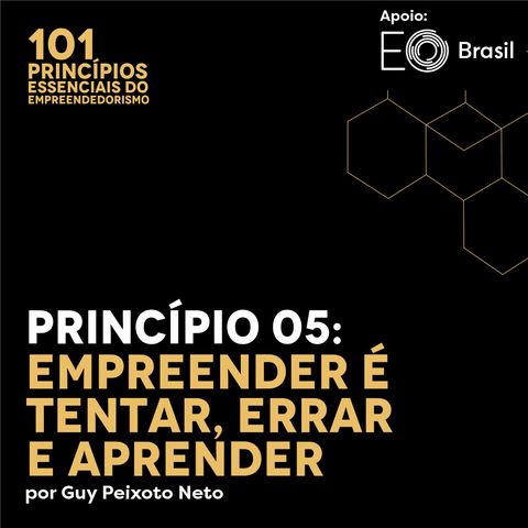 Princípio 05: Empreender é Tentar, Errar e Aprender