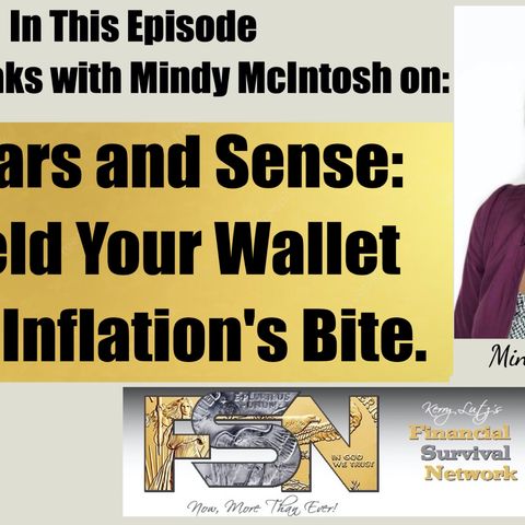 Dollars and Sense: Shield Your Wallet from Inflation's Bite - Mindy McIntosh  #6053