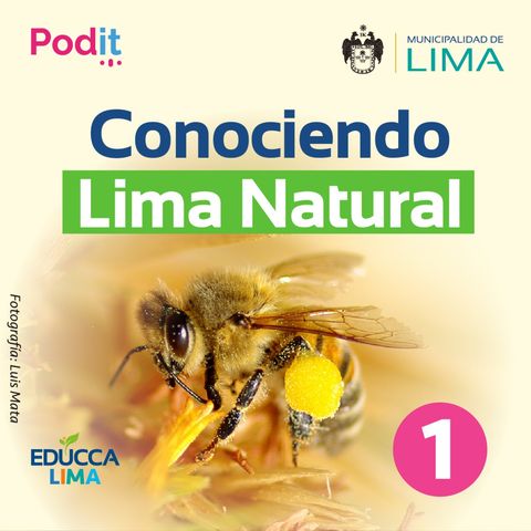 T1. Ep. 27 | Conociendo Lima Natural