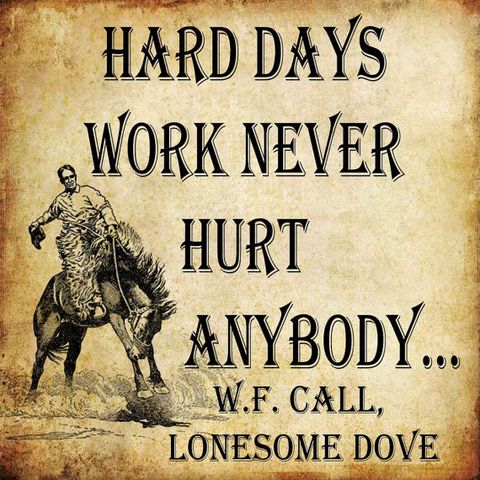 #26 - Lonesome Dove