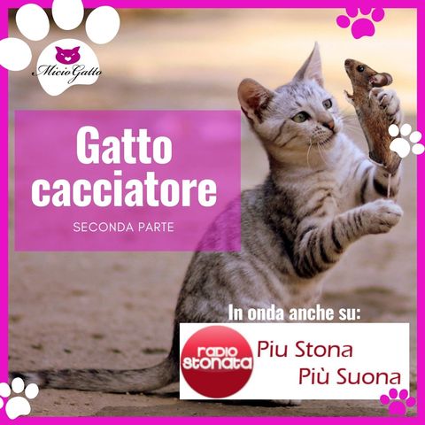 Gatto cacciatore: come e perché lo fa - Seconda parte - su Radio Stonata