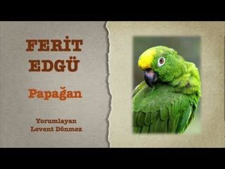 Ferit Edgü - Parrot