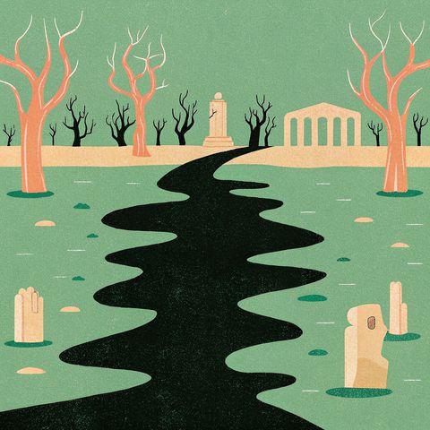 The 20-Generation Ghost: How One Toxin Echoes Through Time