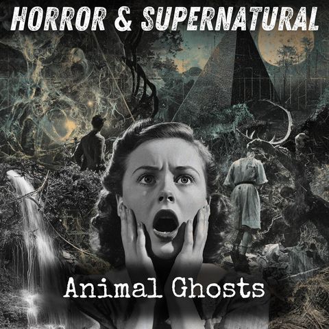 Podcast Cover