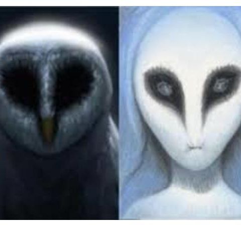 The Messengers:  Owls & UFOs with Guest/Expert Mike Clelland