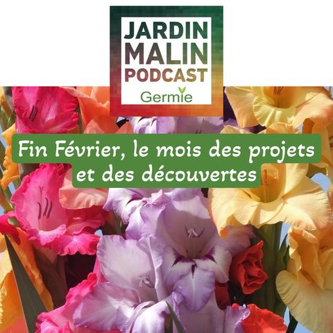 Fin Février, le mois des projets et des découvertes