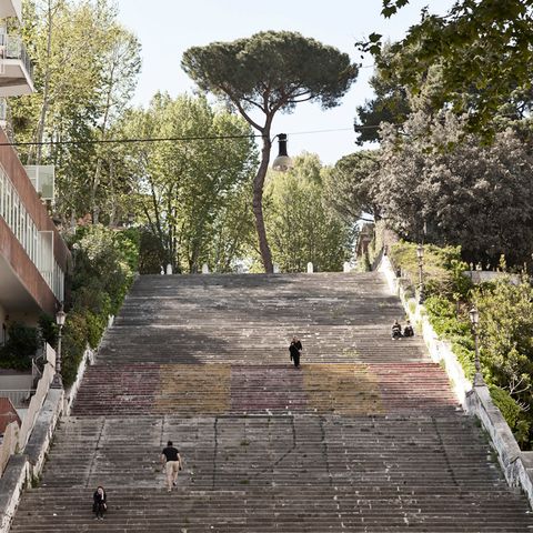 #488 Come i pini di Roma (la vita li spezza), al Pigneto una caprese a 15 euro e altre storie