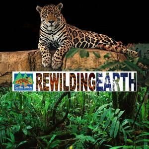 Episode 122: Seeds of Hope in the Land of the Jaguar – Rejuvenating Habitat in Sonora Mexico