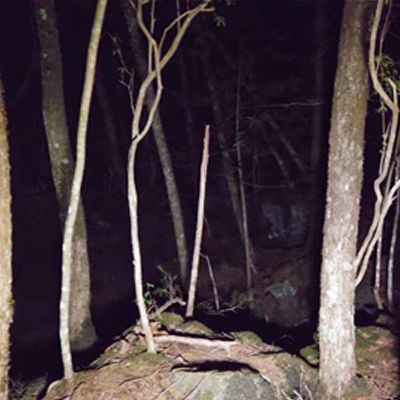 Unexplained and DISTURBING Forest Stories To Creep You Out! I Halloween
